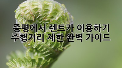 증평에서 렌트카 이용하기: 주행거리 제한 완벽 가이드