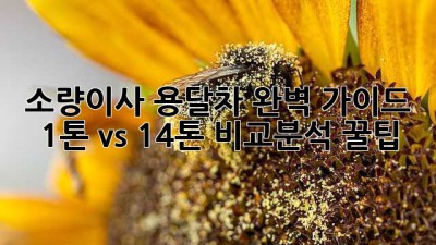 소량이사🚚 용달차 완벽 가이드! 1톤 vs 1.4톤 비교분석 꿀팁🍯